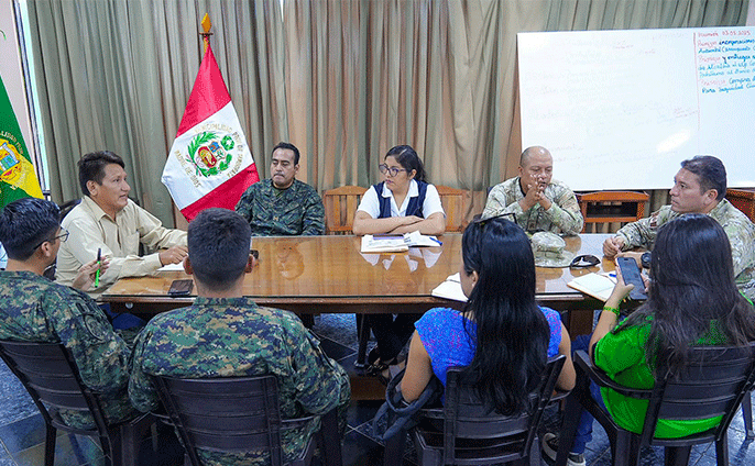 Instituciones organizadoras de la campaña