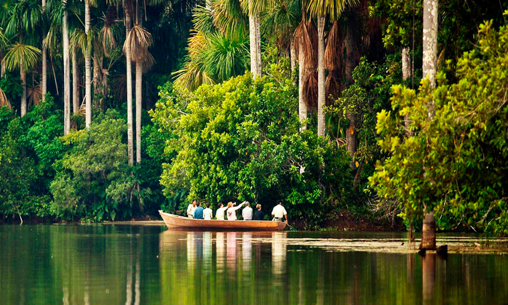 Lodge ecológico