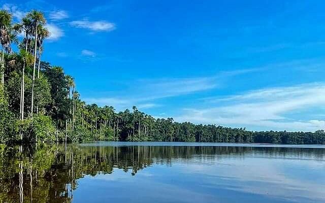 reserva Tambopata