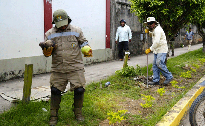 Terreno transformado